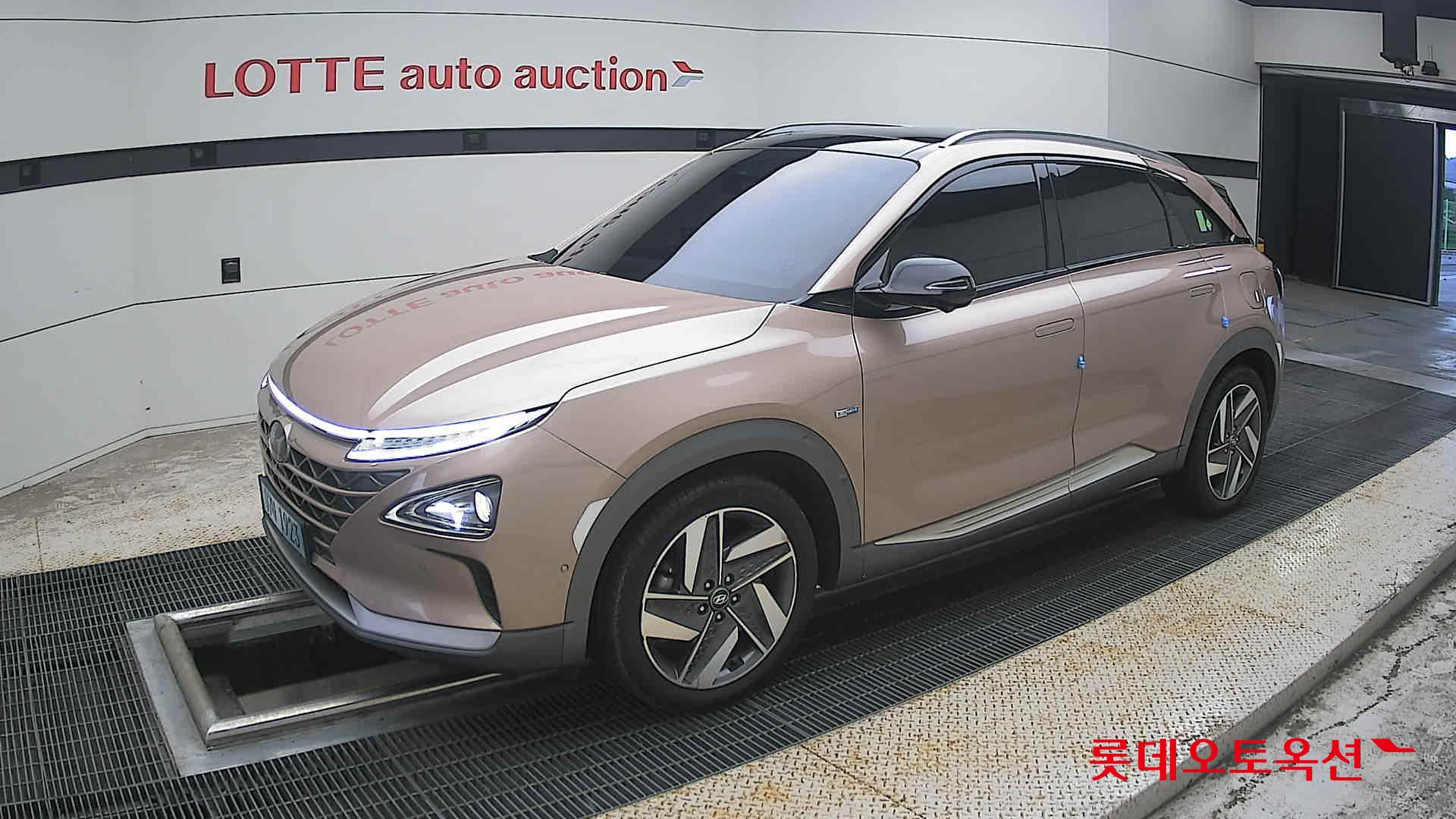 2019 - hyundai nexo