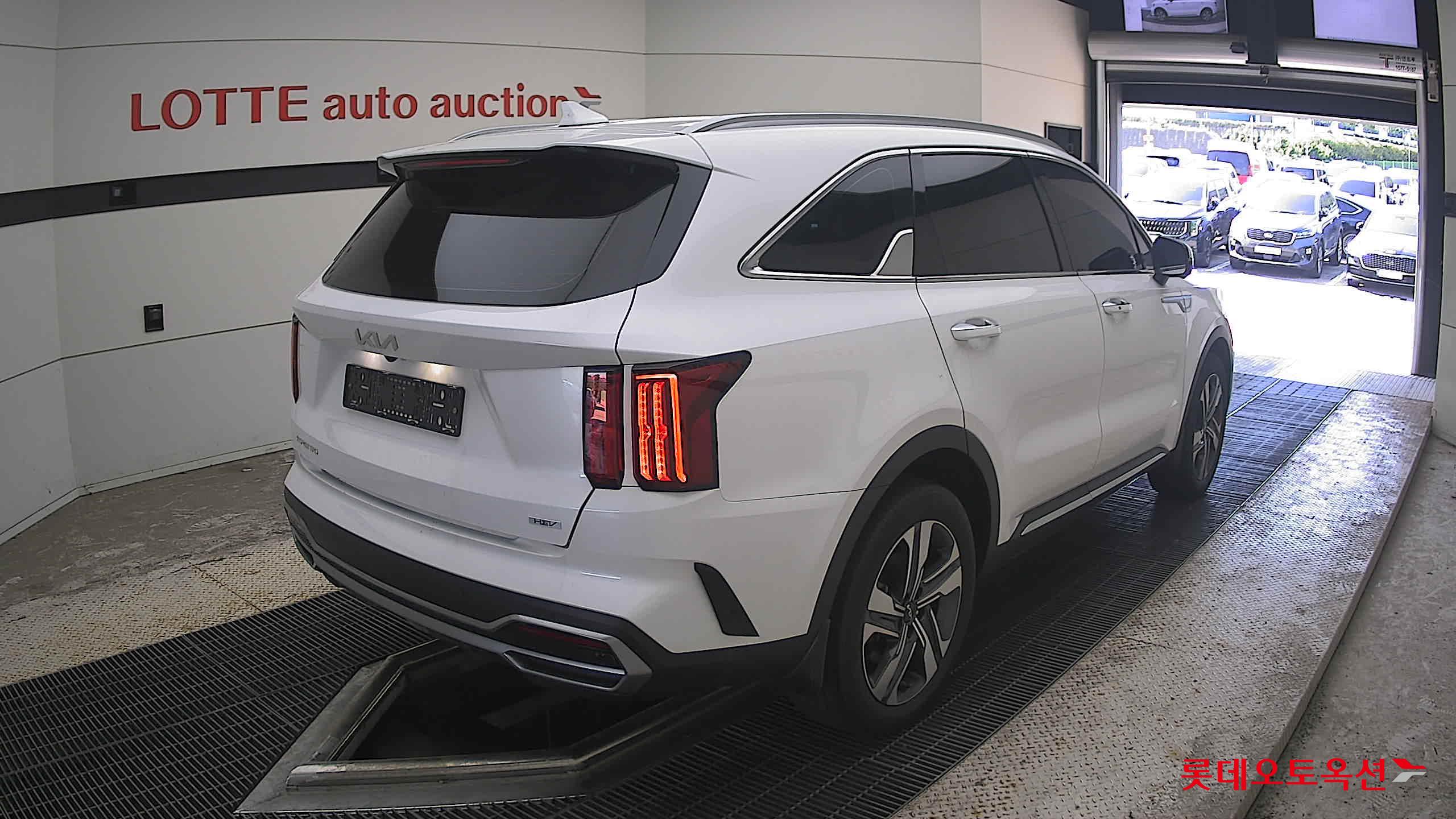 2023 - kia sorento