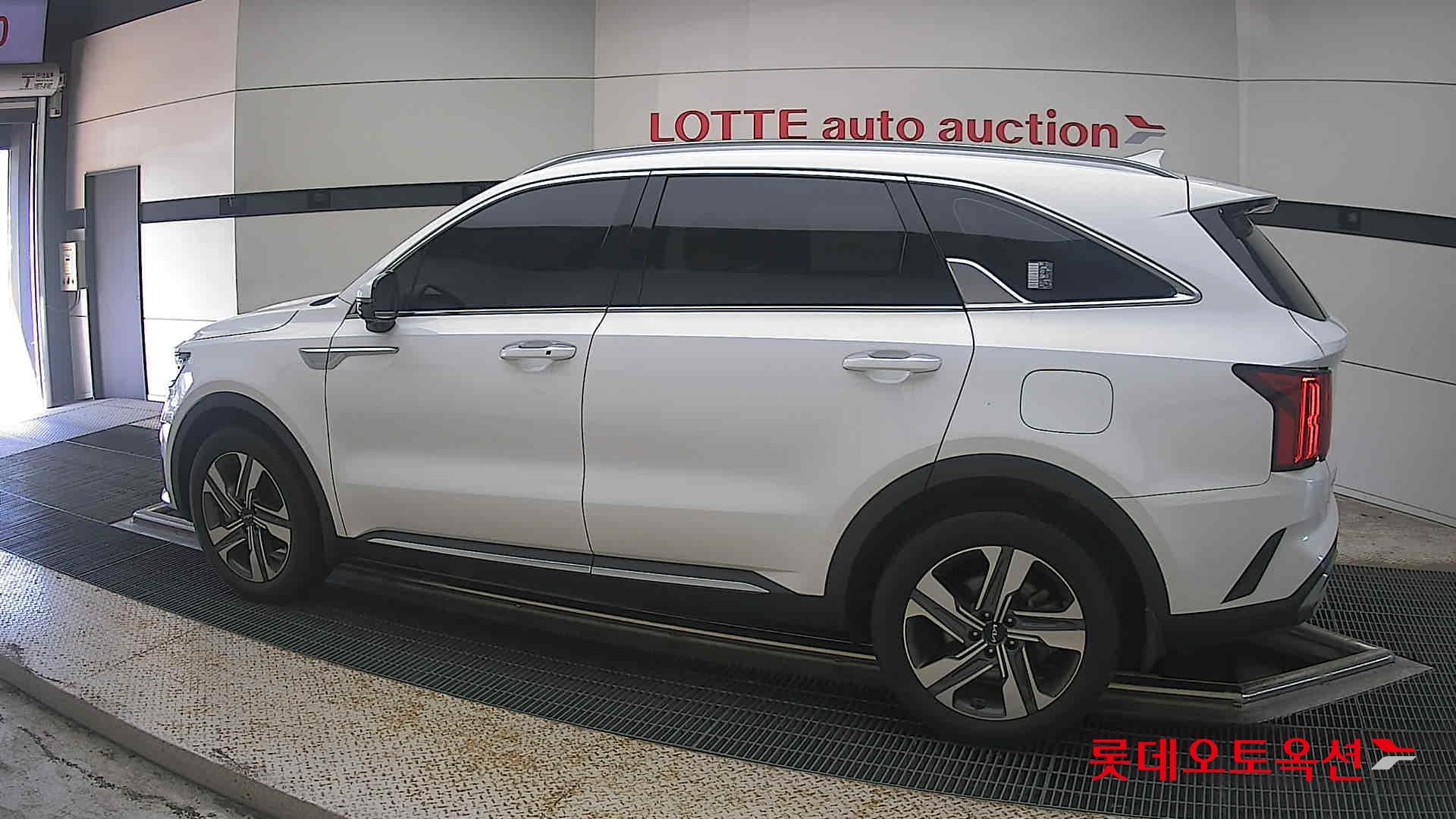 2023 - kia sorento