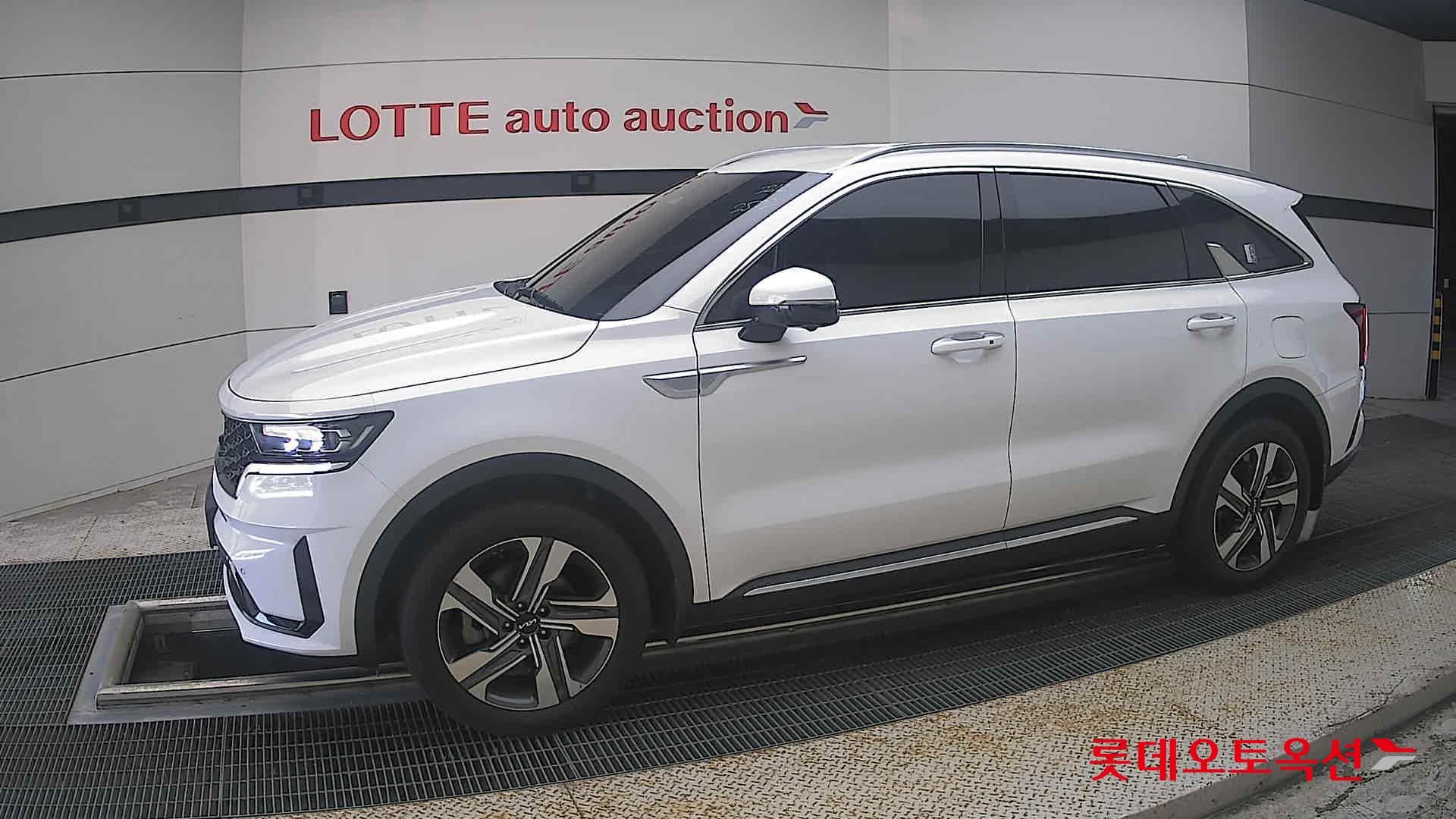 2023 - kia sorento