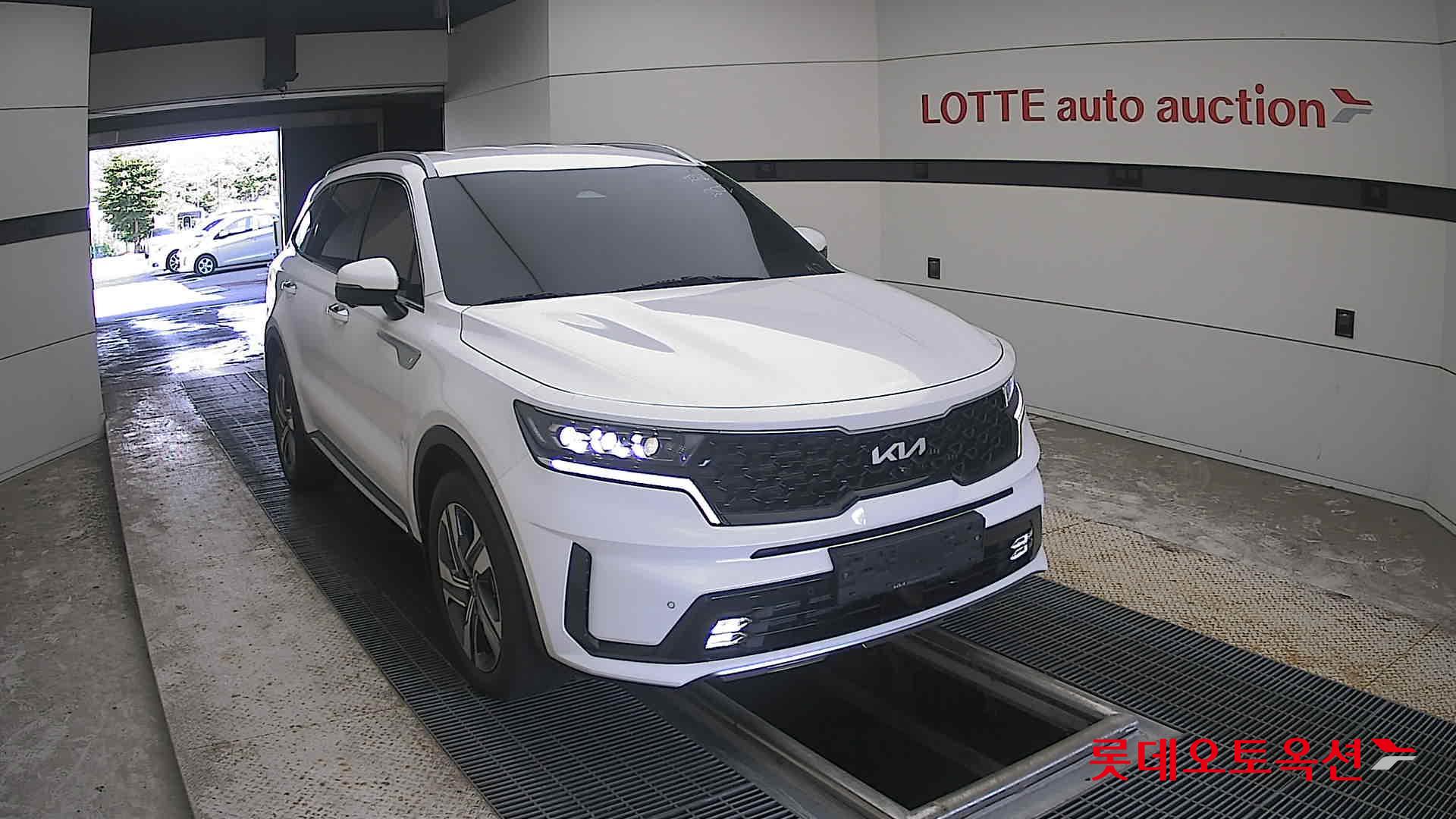 2023 - kia sorento