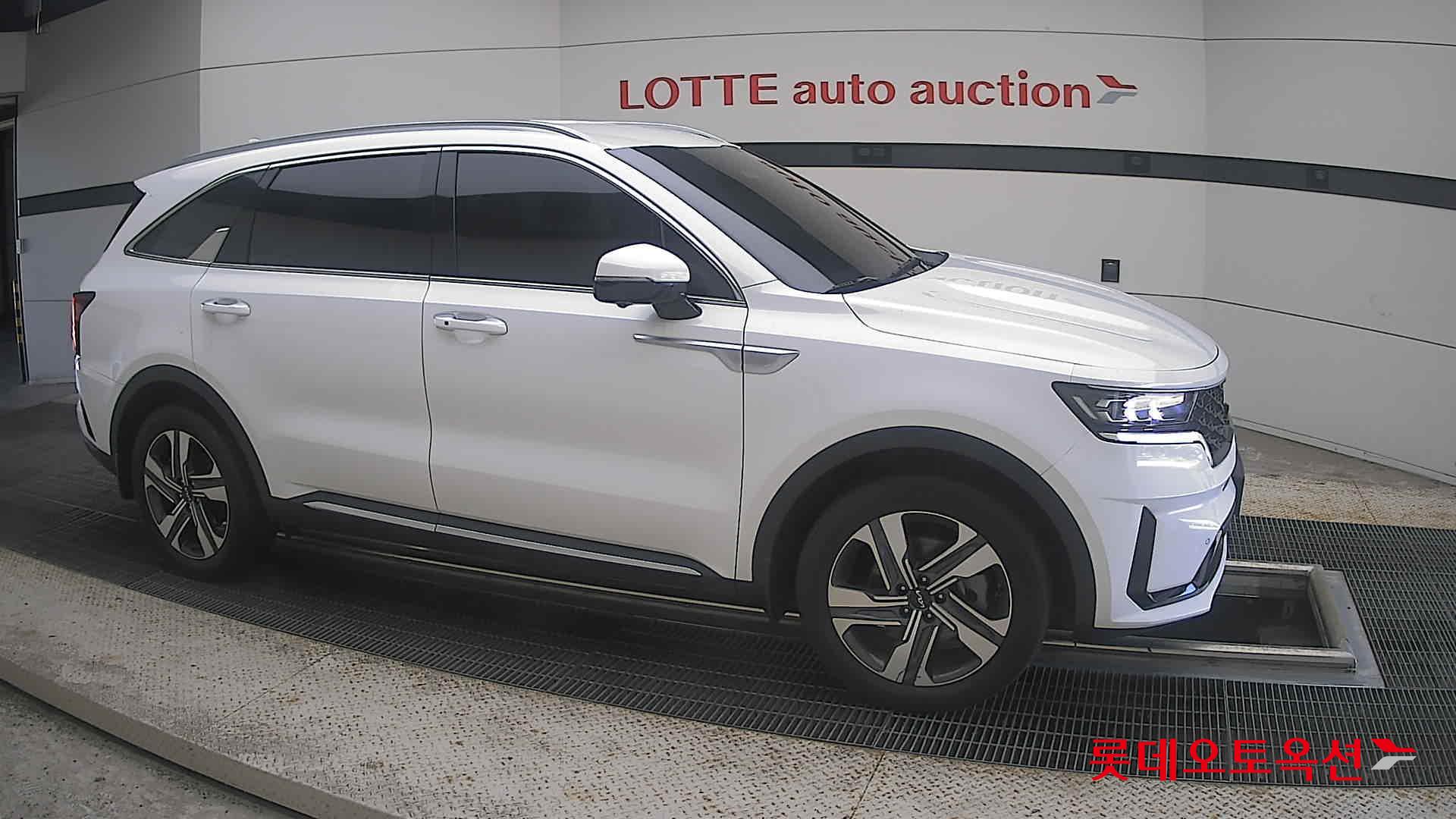 2023 - kia sorento