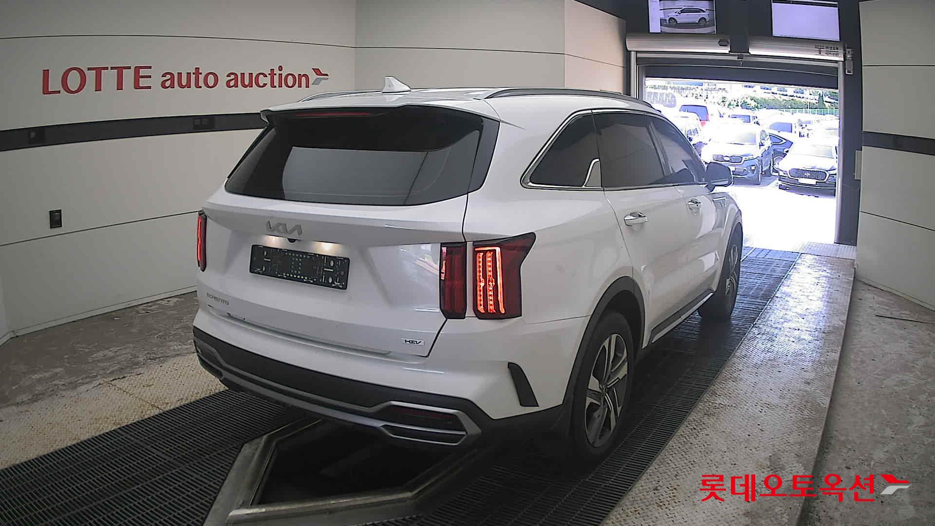 2023 - kia sorento