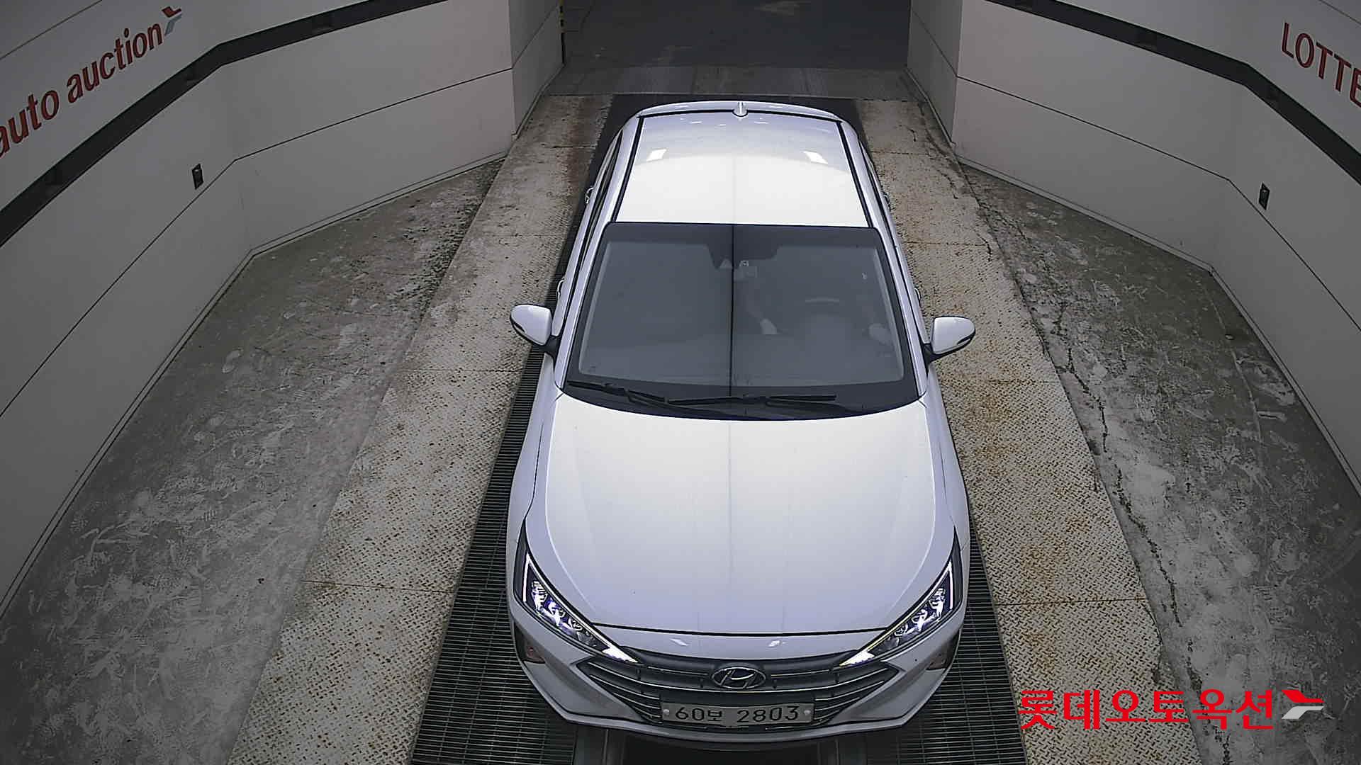 2019 - hyundai avante