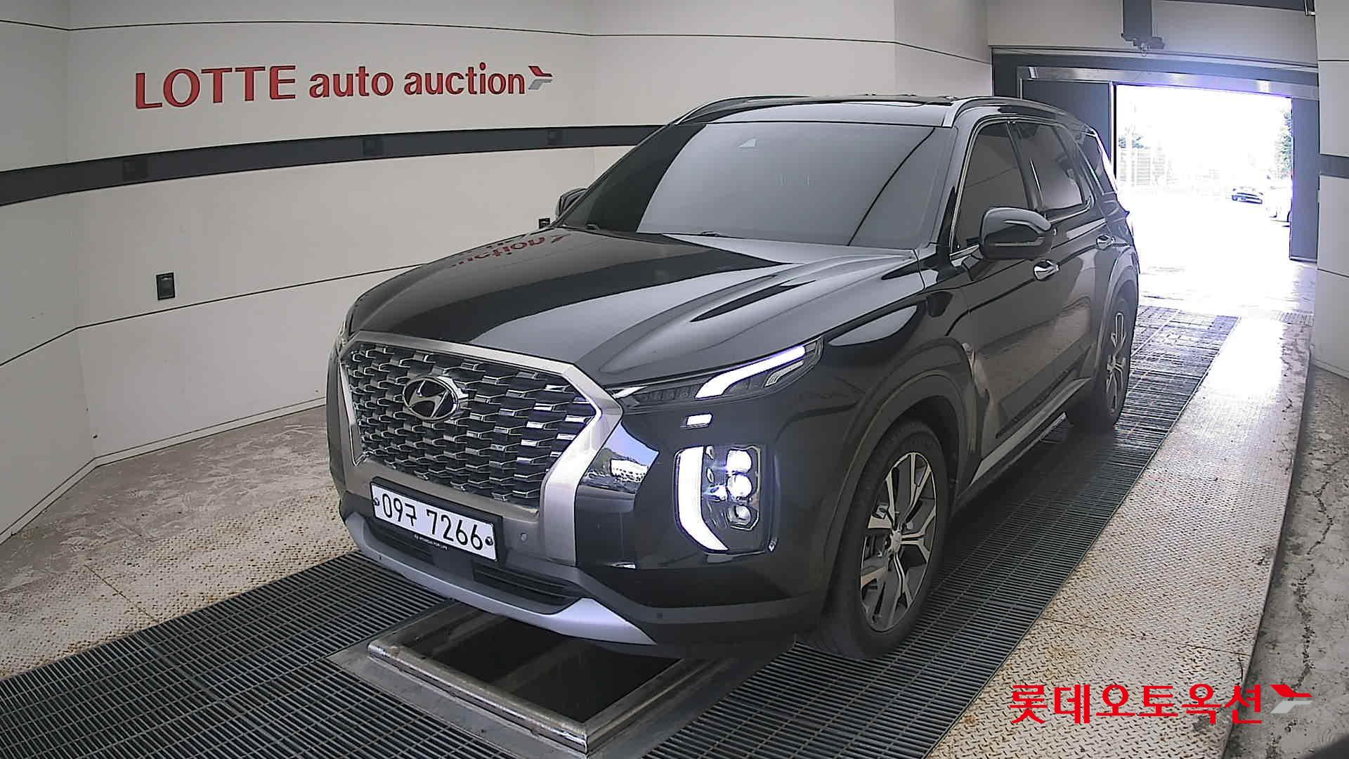 2019 - hyundai palisade