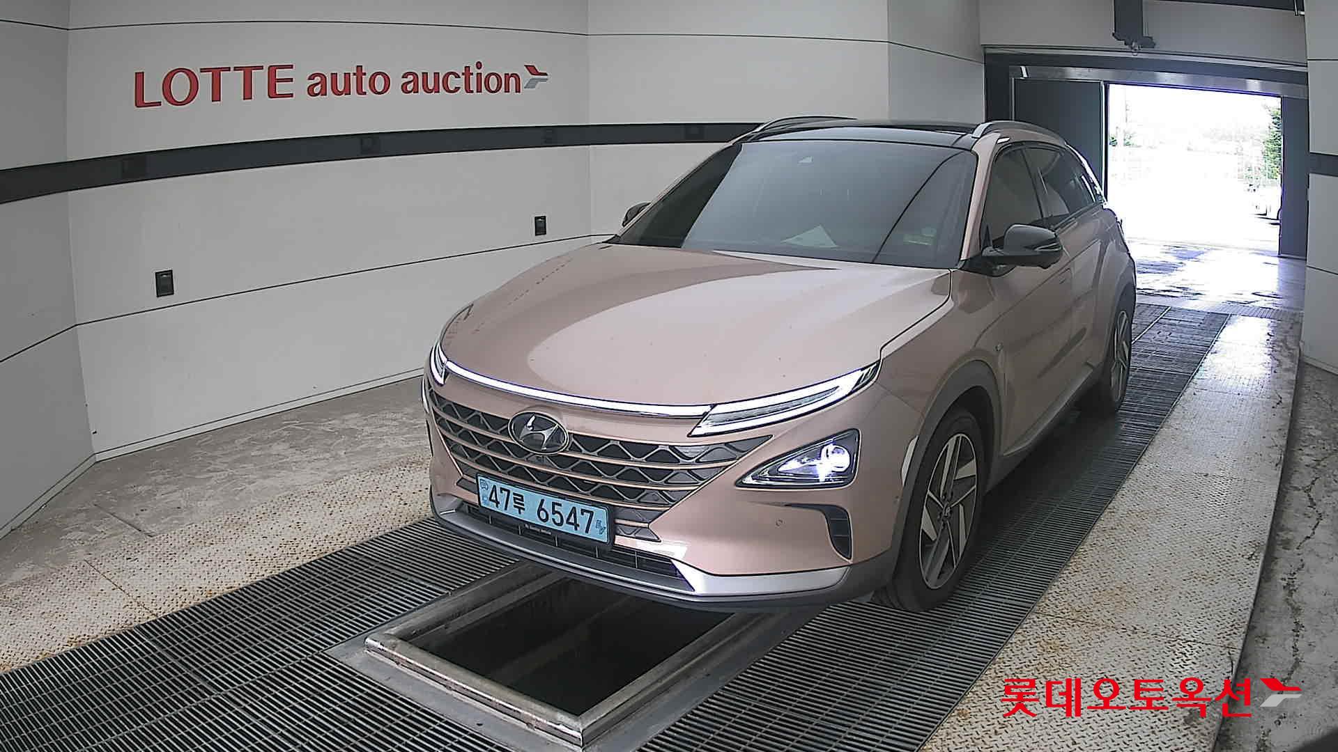 2019 - hyundai nexo