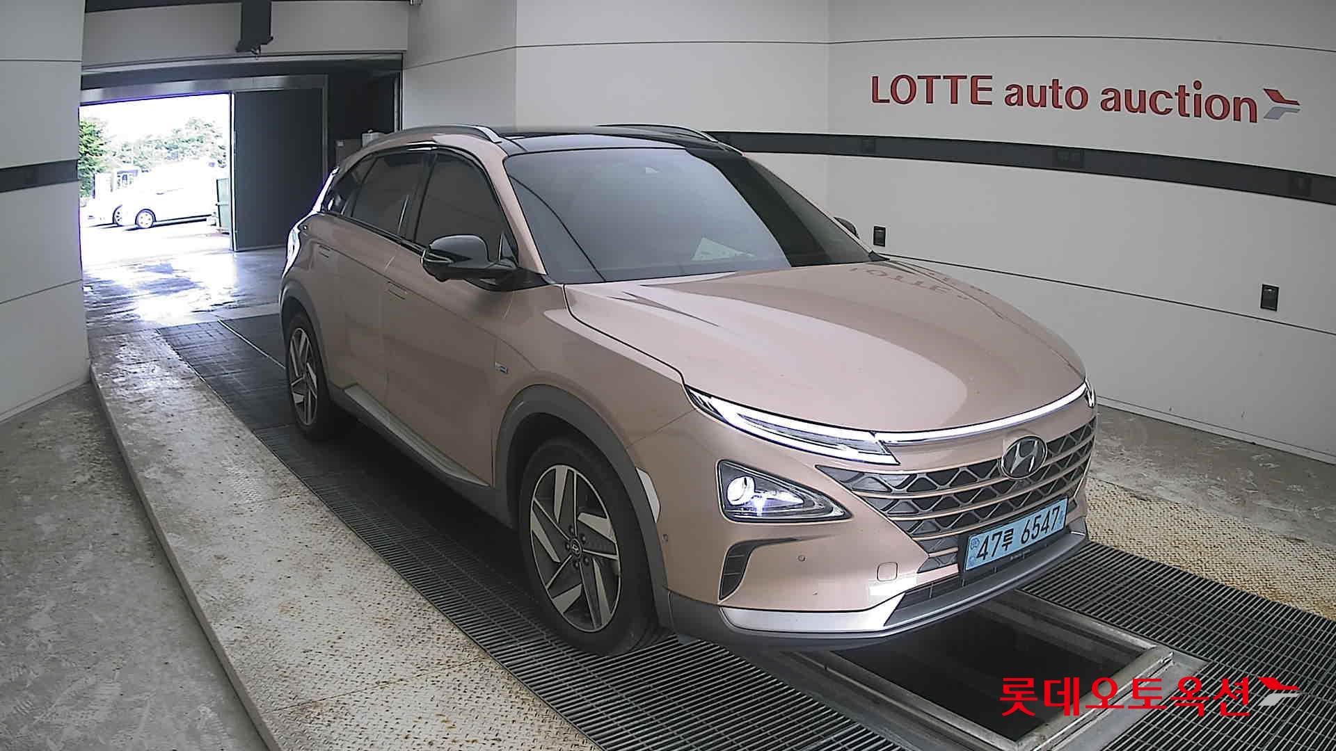 2019 - hyundai nexo