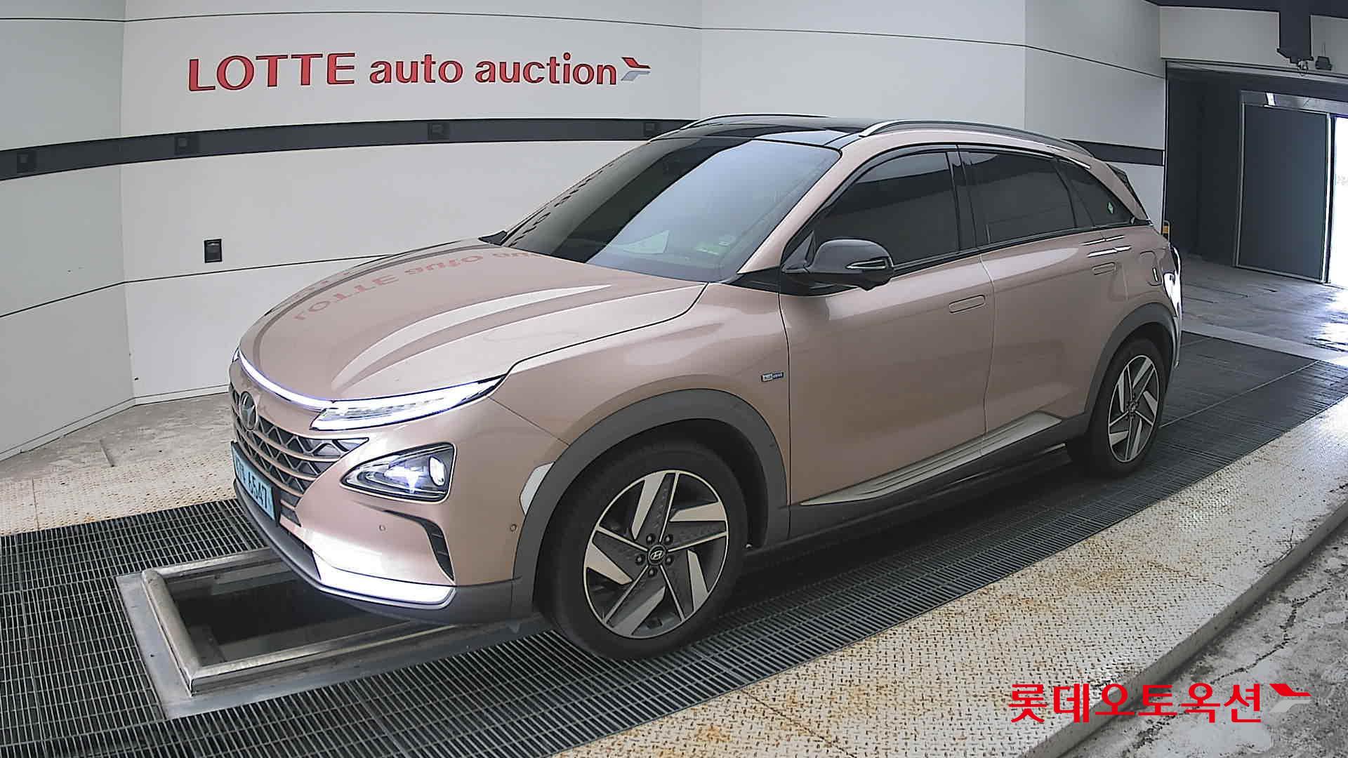 2019 - hyundai nexo