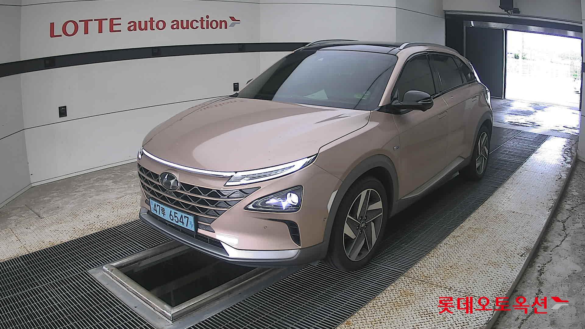 2019 - hyundai nexo