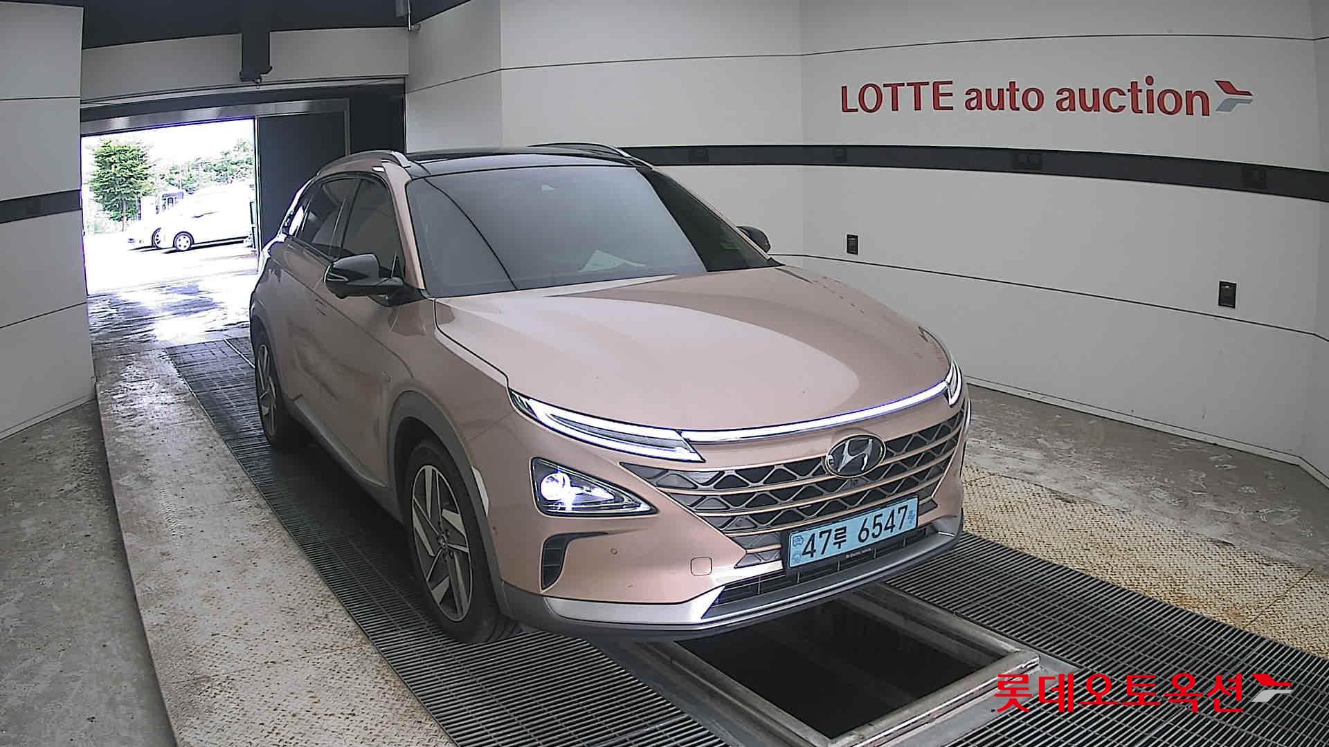 2019 - hyundai nexo