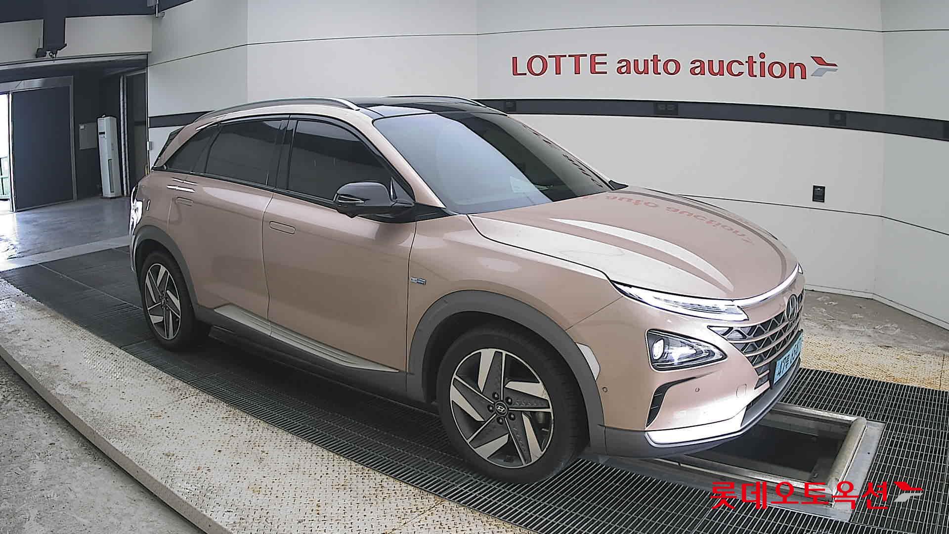 2019 - hyundai nexo