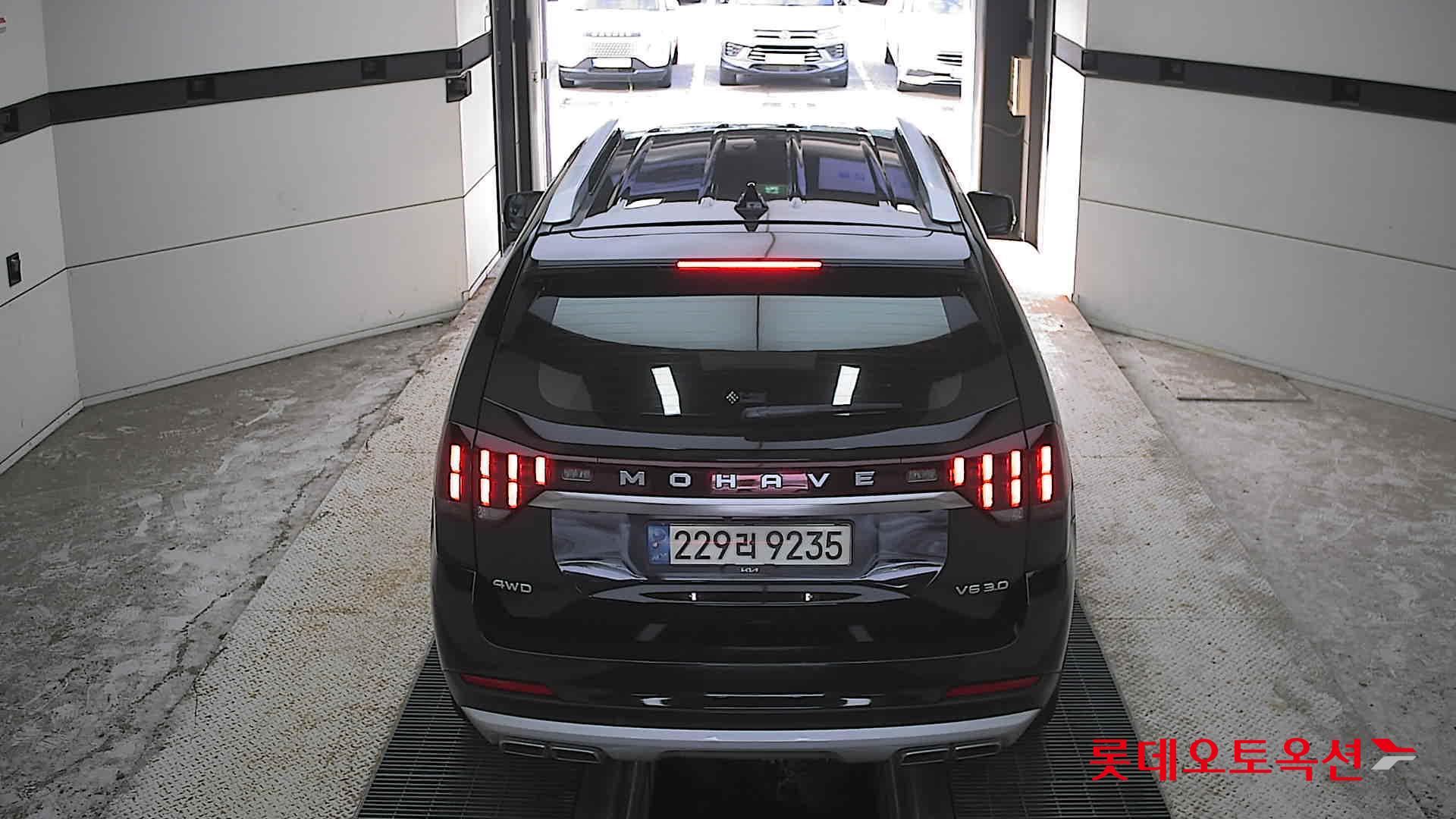 موهافي 2021
