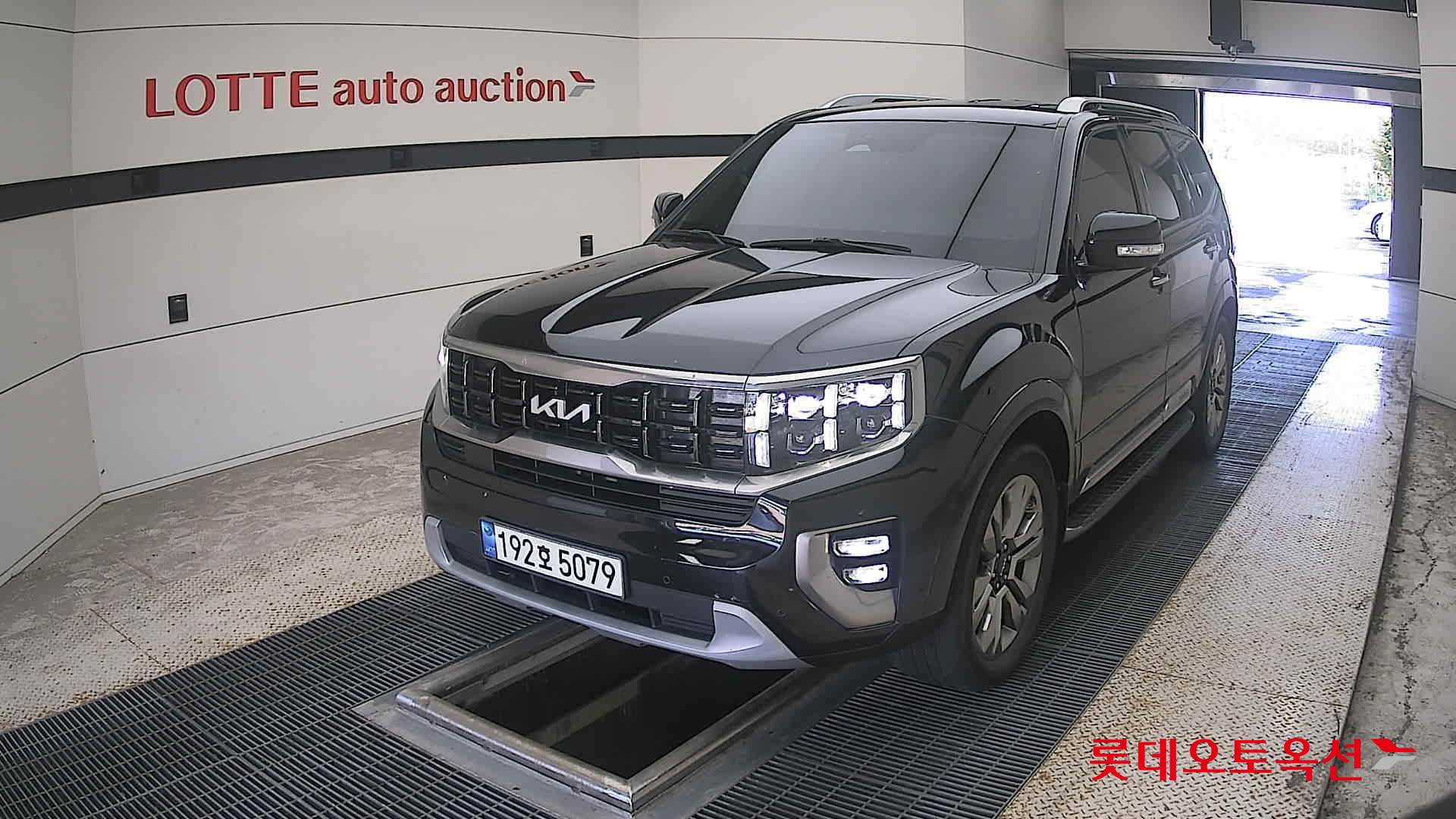 موهافي 2023