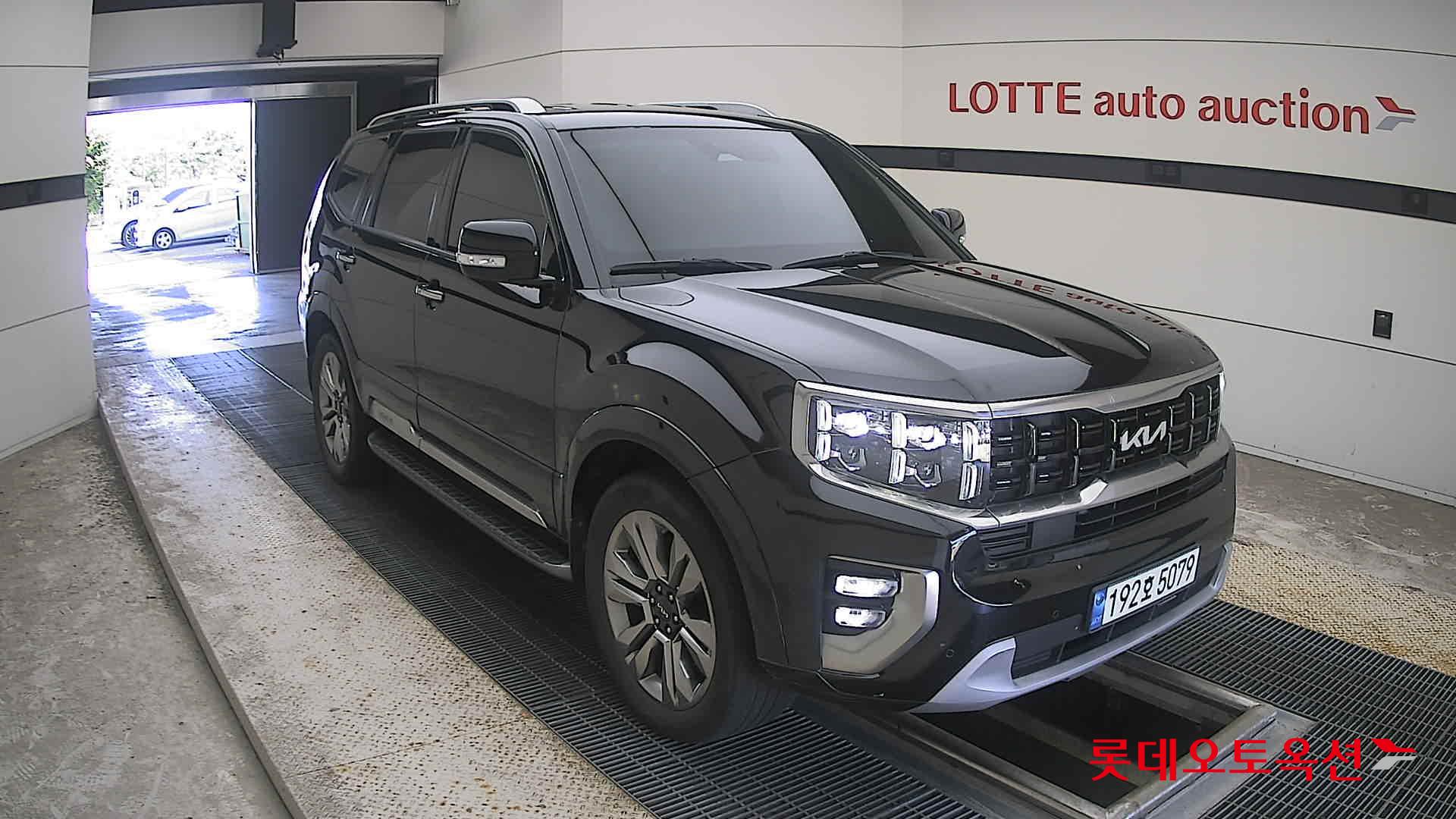 موهافي 2023