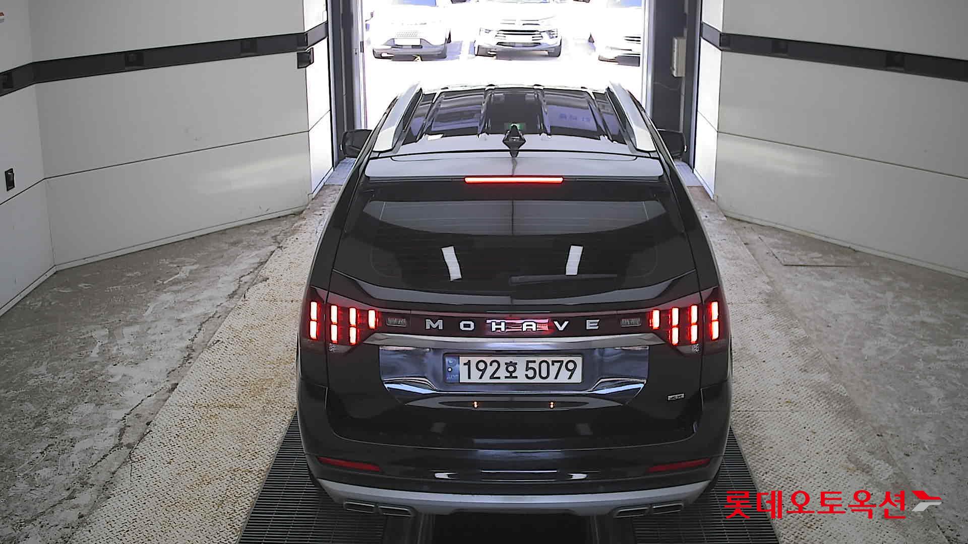 موهافي 2023