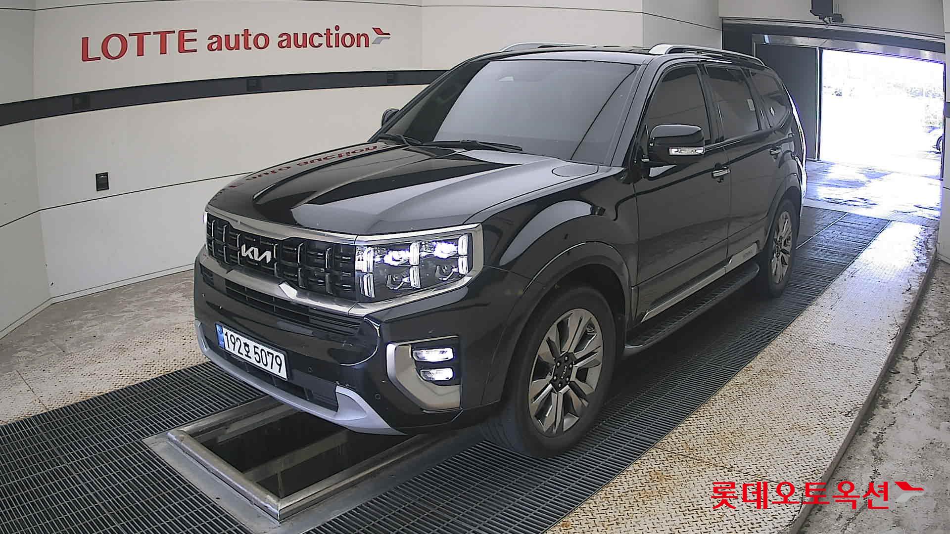 موهافي 2023