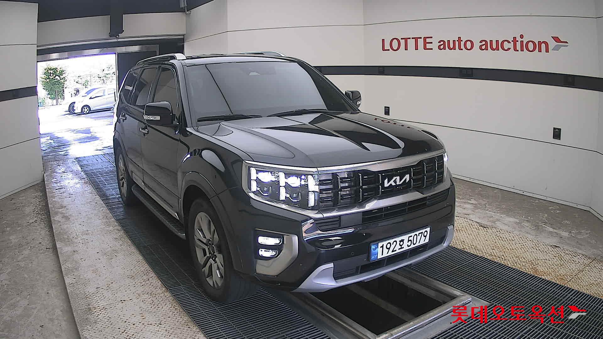 موهافي 2023
