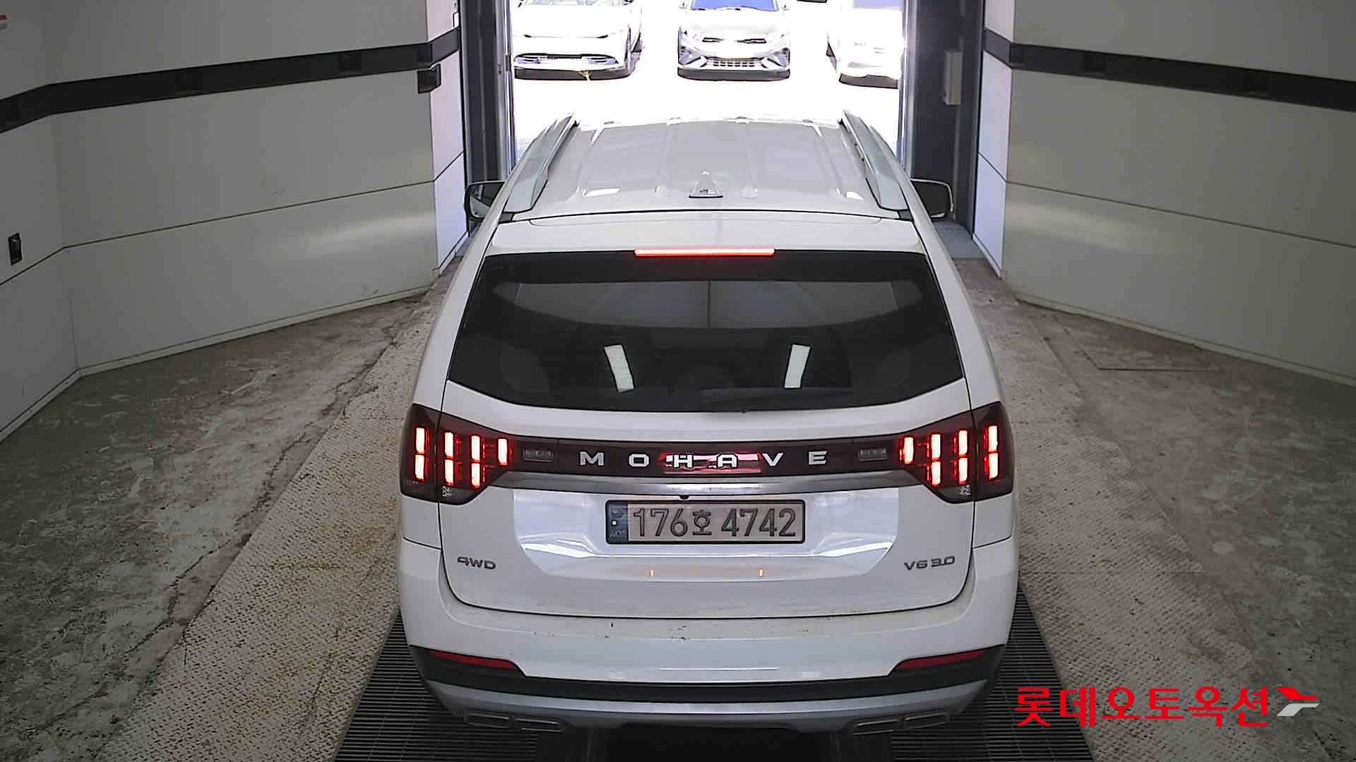 موهافي 2021