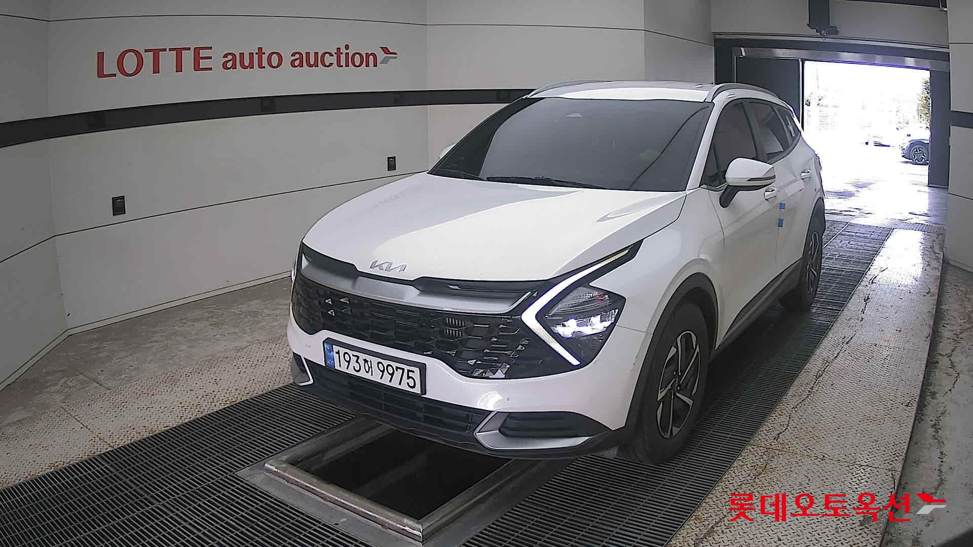 Kia Sportage 2023 — авто из Кореи под ключ