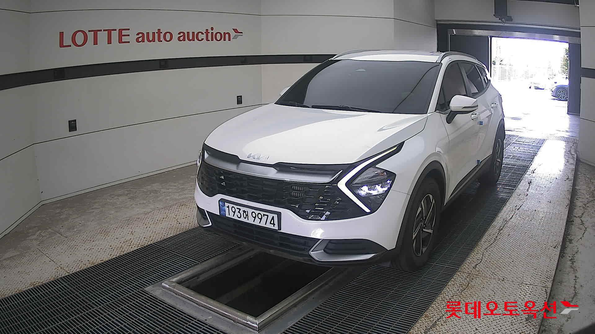 Kia Sportage 2023 — авто из Кореи под ключ