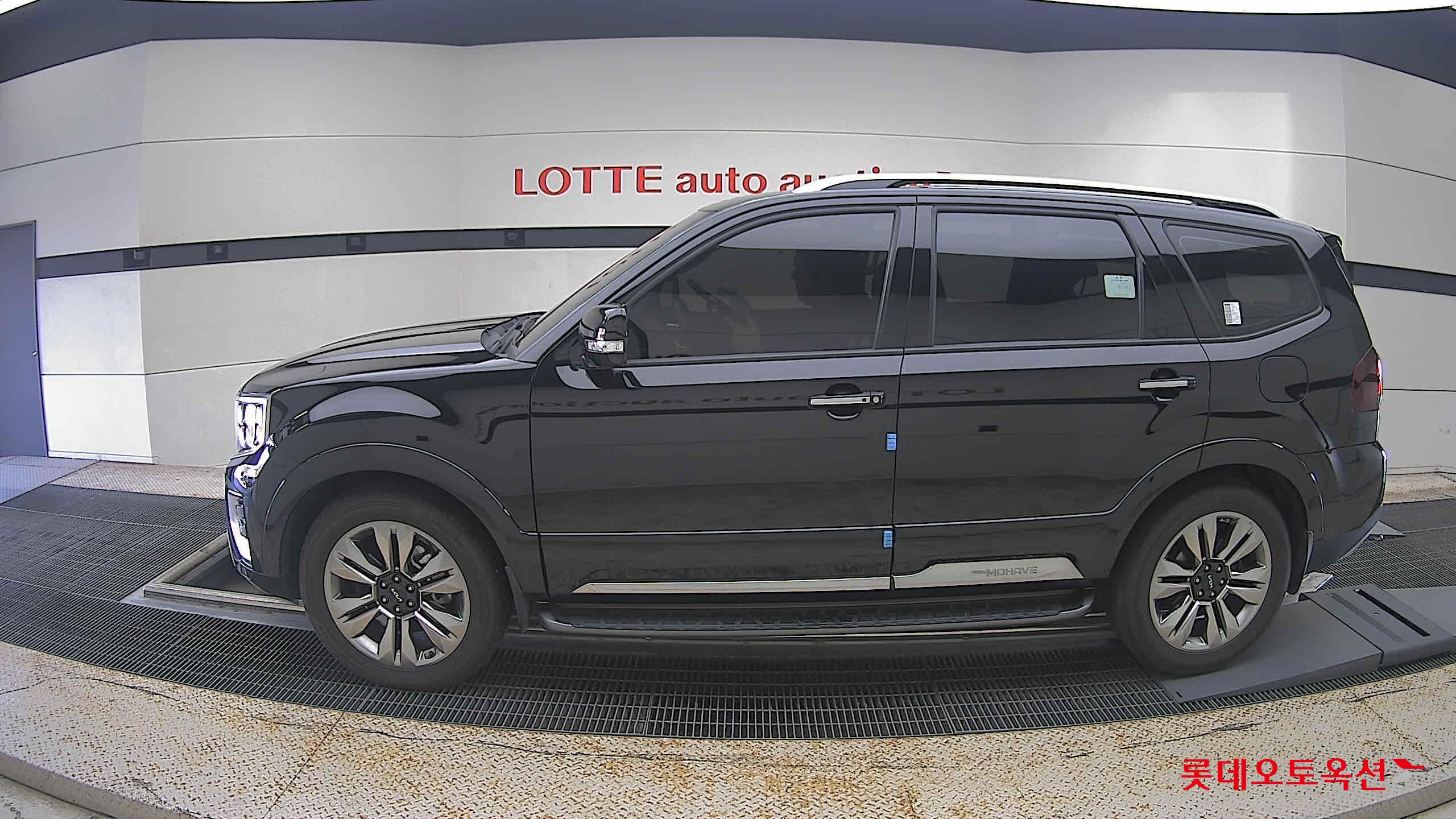 موهافي 2022